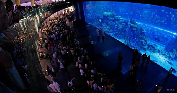 Аквариум Дубая
